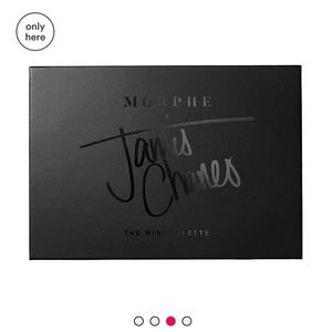 Morphe X James Charles The Mini Palette